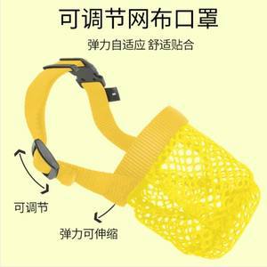 小狗防咬口罩與止吠器 價格、選擇與負責任使用指南