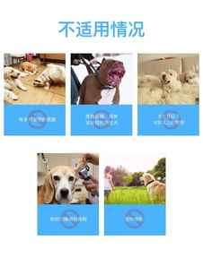 莫迪思 modus 自動(dòng)超聲波止吠器 智能訓(xùn)導(dǎo)專家的無聲助手